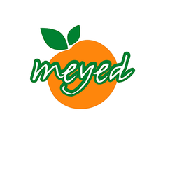 Logo_Meyed